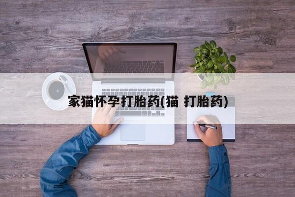 流产药购买方式家猫怀孕打胎药(猫 打胎药)